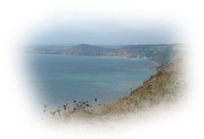 A lovely Devon bay